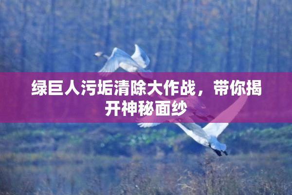 绿巨人污垢清除大作战，带你揭开神秘面纱