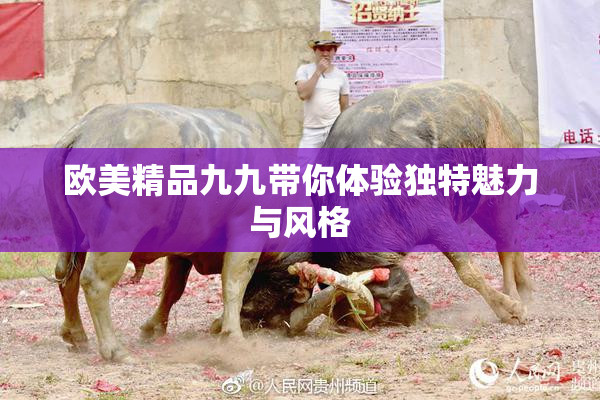欧美精品九九带你体验独特魅力与风格