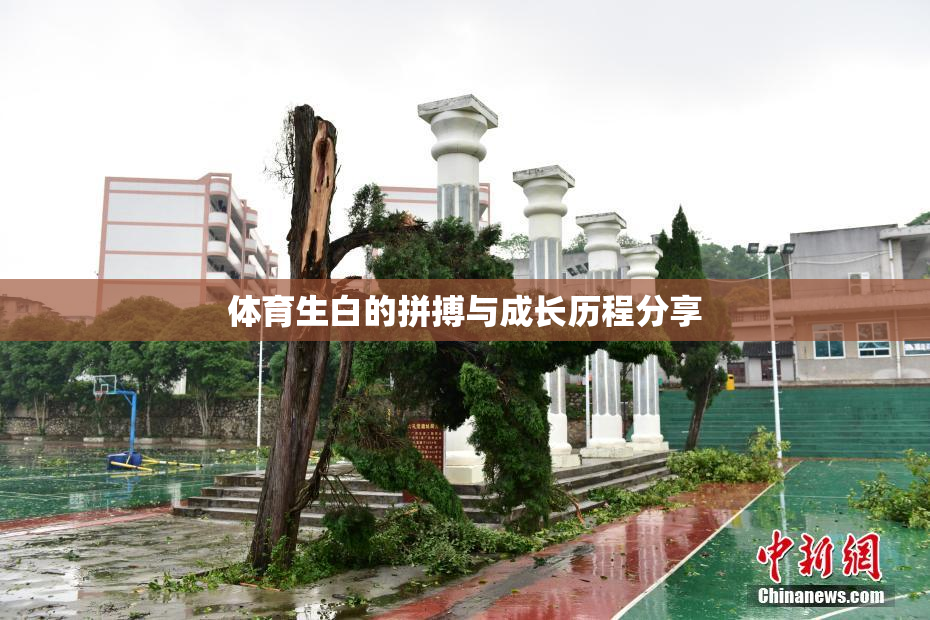 体育生白的拼搏与成长历程分享