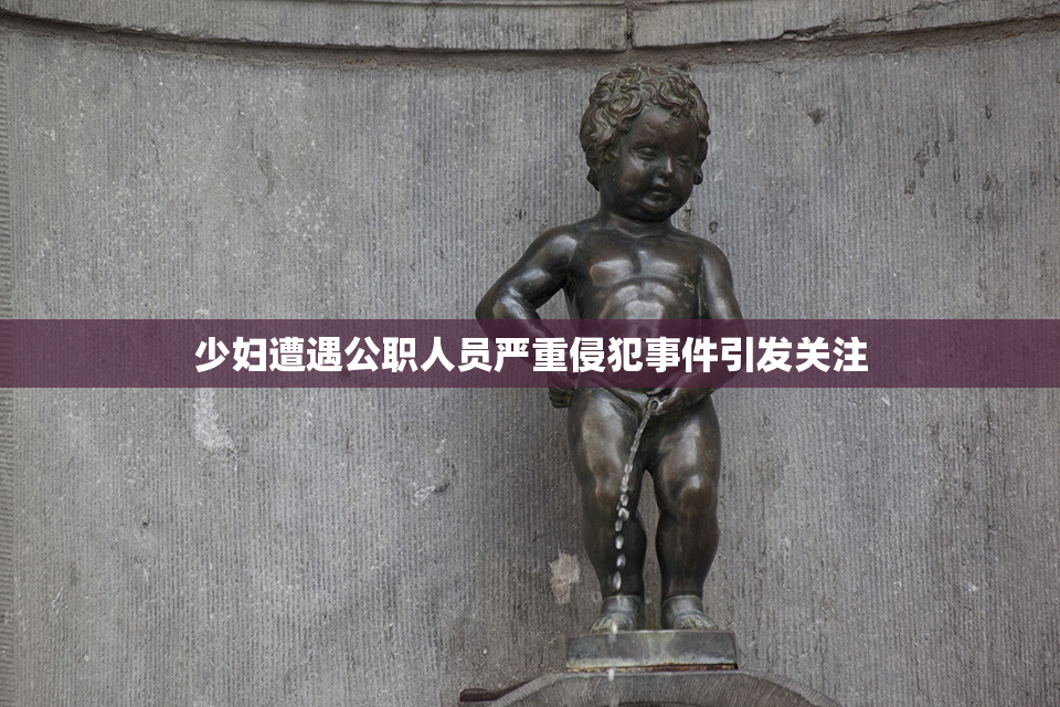 少妇遭遇公职人员严重侵犯事件引发关注