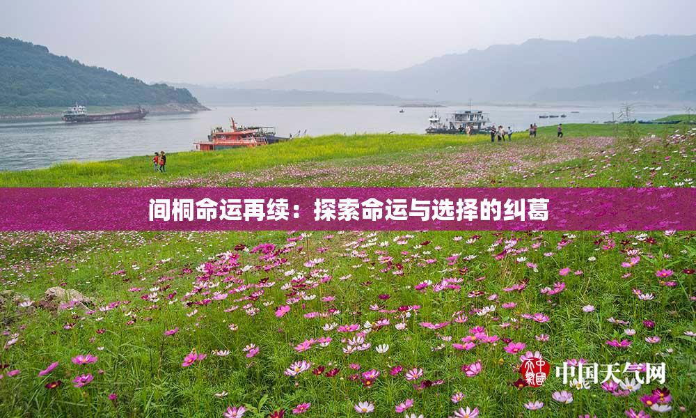 间桐命运再续：探索命运与选择的纠葛