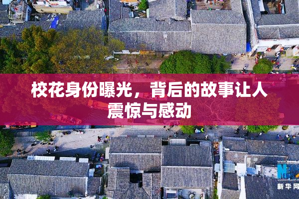 校花身份曝光，背后的故事让人震惊与感动