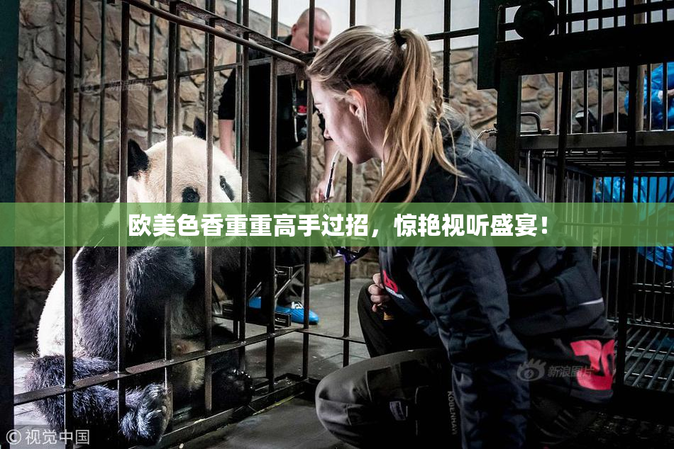 欧美色香重重高手过招，惊艳视听盛宴！