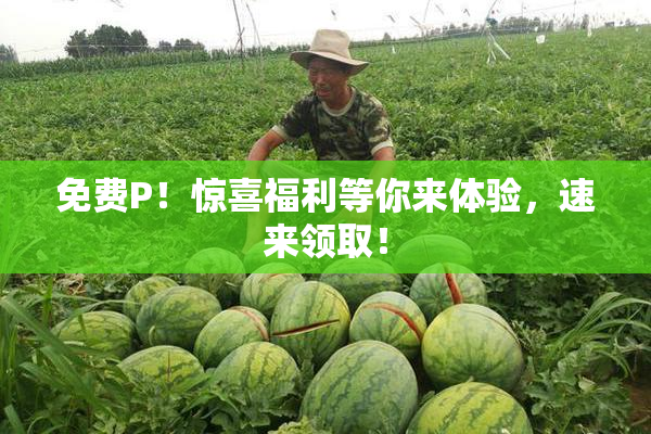 免费P！惊喜福利等你来体验，速来领取！