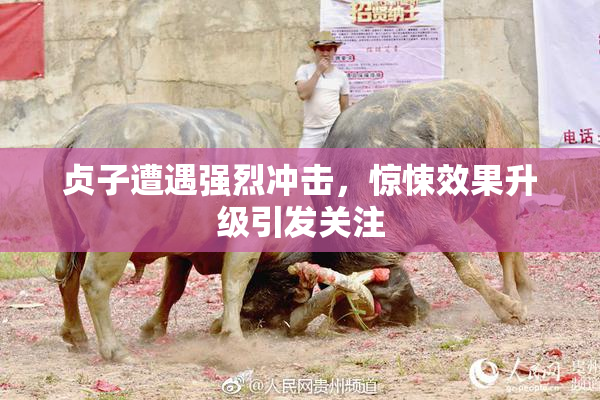 贞子遭遇强烈冲击，惊悚效果升级引发关注