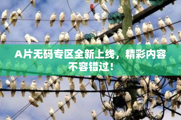 A片无码专区全新上线，精彩内容不容错过！