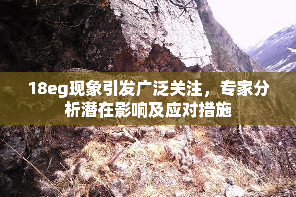 18eg现象引发广泛关注，专家分析潜在影响及应对措施