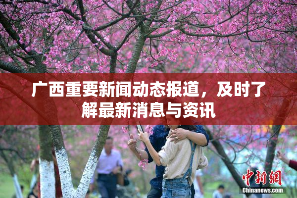 广西重要新闻动态报道，及时了解最新消息与资讯