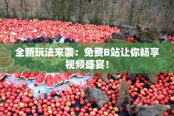 全新玩法来袭：免费B站让你畅享视频盛宴！