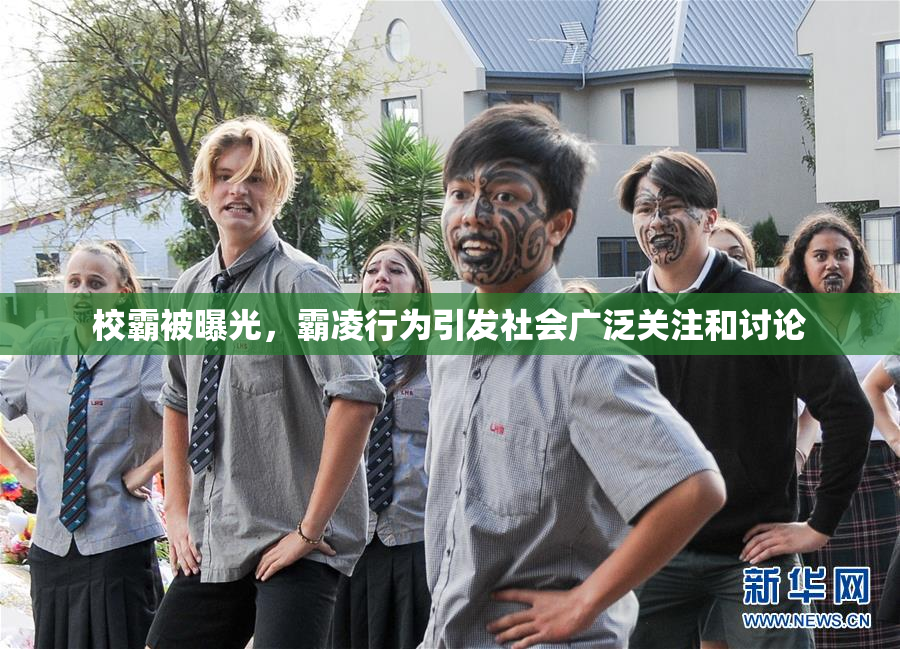校霸被曝光，霸凌行为引发社会广泛关注和讨论