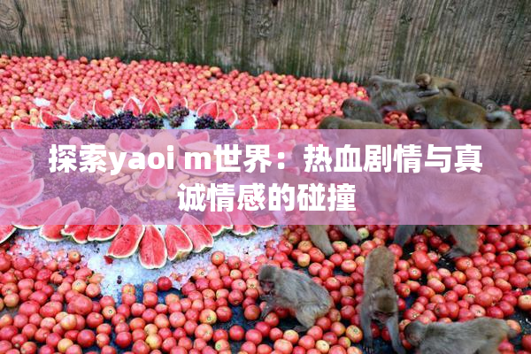 探索yaoi m世界：热血剧情与真诚情感的碰撞