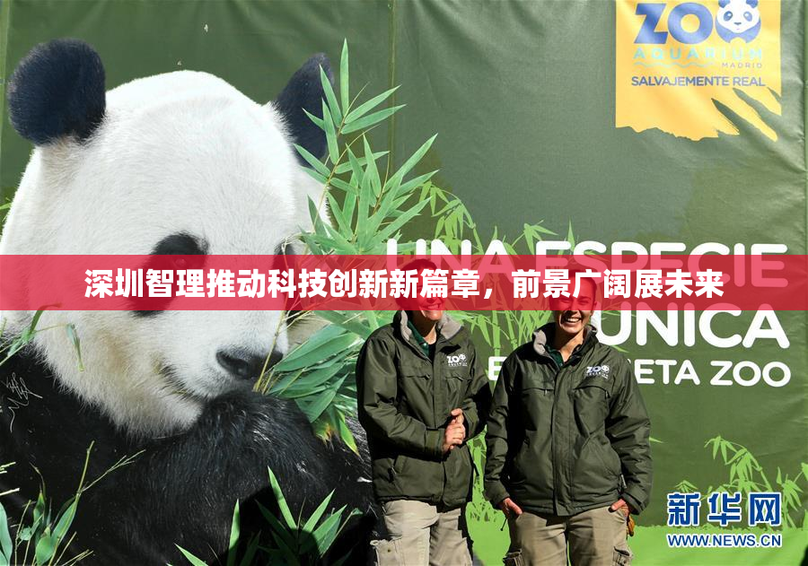 深圳智理推动科技创新新篇章，前景广阔展未来