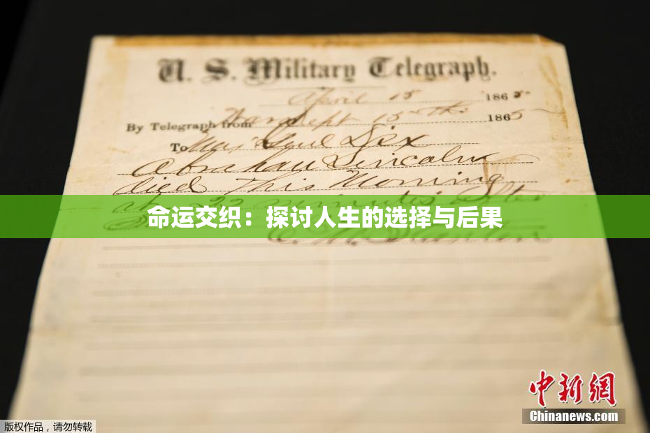 命运交织：探讨人生的选择与后果