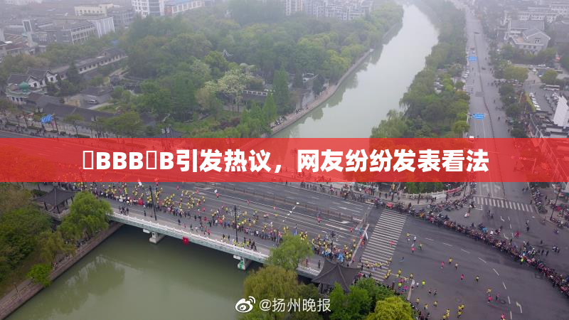 嫰BBB槡B引发热议，网友纷纷发表看法