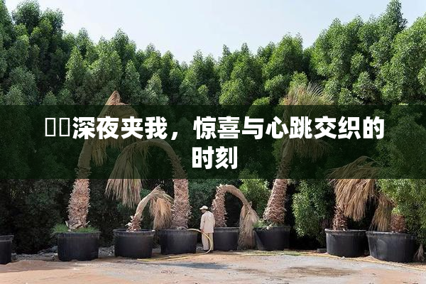 妺妺深夜夹我，惊喜与心跳交织的时刻
