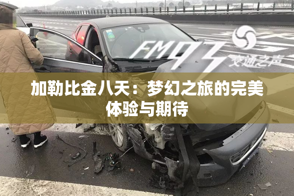 加勒比金八天：梦幻之旅的完美体验与期待