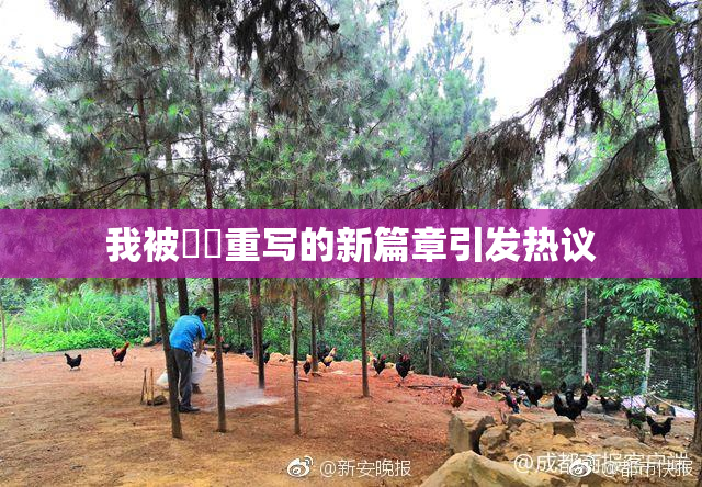我被妺妺重写的新篇章引发热议