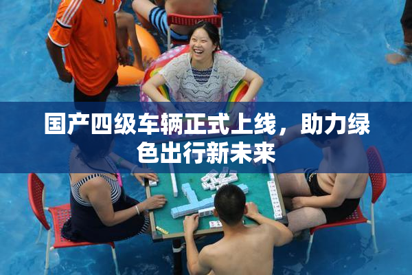 国产四级车辆正式上线，助力绿色出行新未来