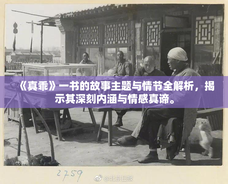 《真乖》一书的故事主题与情节全解析，揭示其深刻内涵与情感真谛。