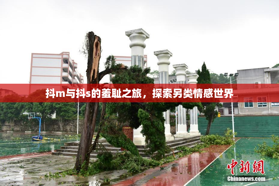 抖m与抖s的羞耻之旅，探索另类情感世界