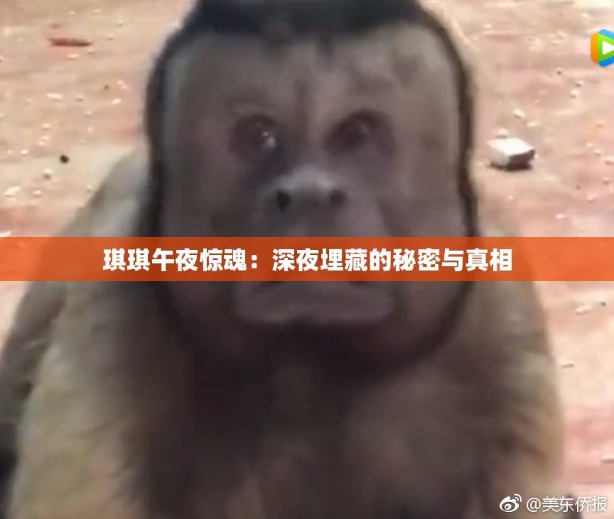 琪琪午夜惊魂：深夜埋藏的秘密与真相