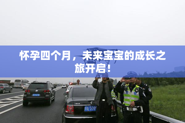 怀孕四个月，未来宝宝的成长之旅开启！