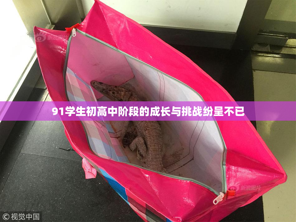 91学生初高中阶段的成长与挑战纷呈不已