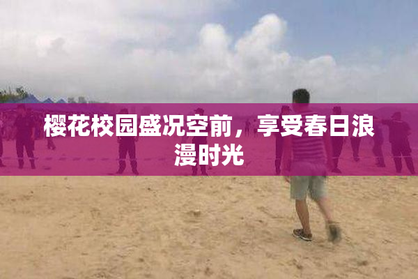 樱花校园盛况空前，享受春日浪漫时光