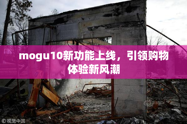 mogu10新功能上线，引领购物体验新风潮
