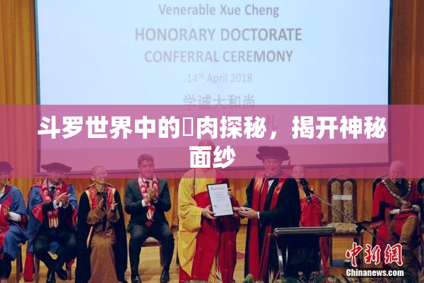 斗罗世界中的婬肉探秘，揭开神秘面纱