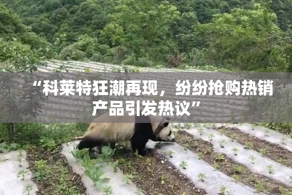 “科莱特狂潮再现，纷纷抢购热销产品引发热议”