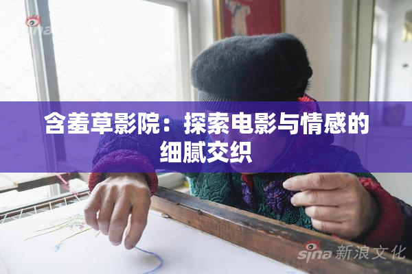 含羞草影院：探索电影与情感的细腻交织