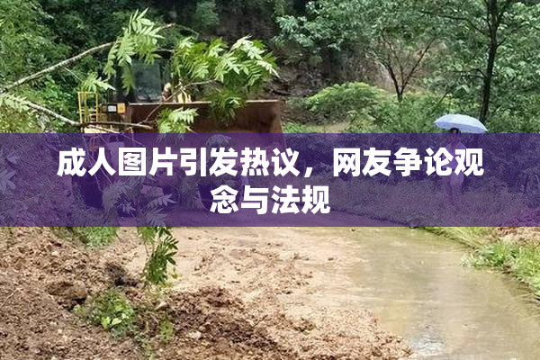 成人图片引发热议，网友争论观念与法规