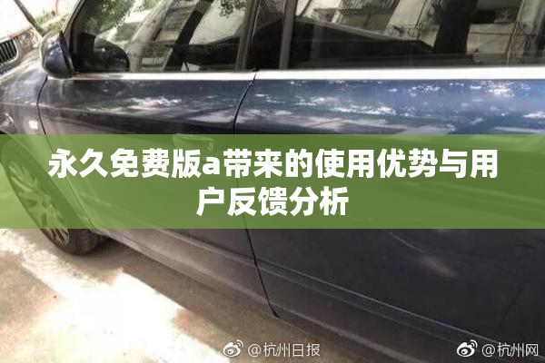 永久免费版a带来的使用优势与用户反馈分析