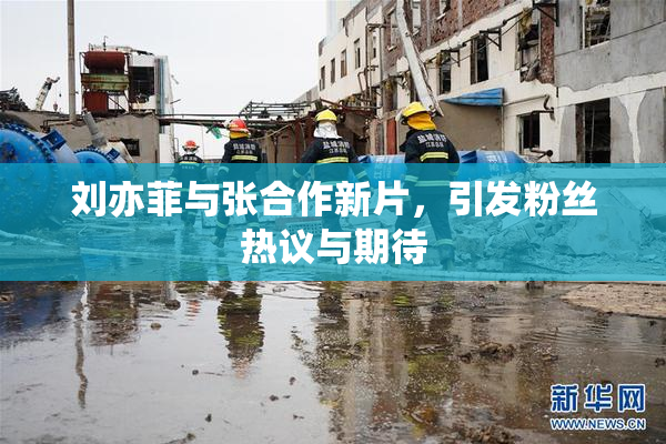 刘亦菲与张合作新片，引发粉丝热议与期待