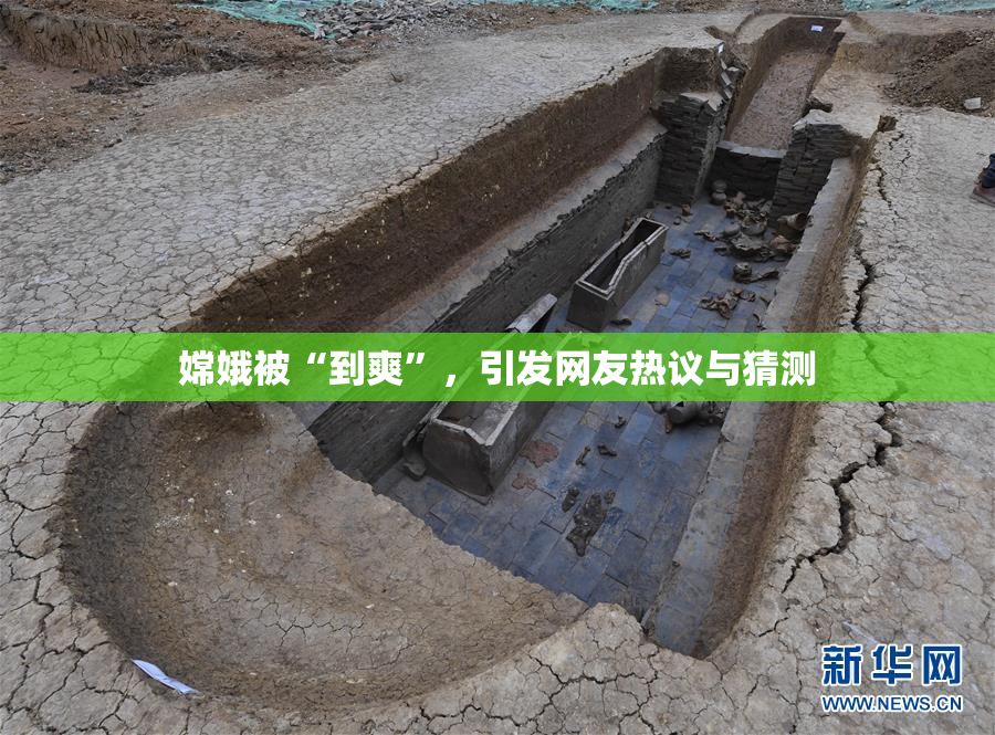 嫦娥被“到爽”，引发网友热议与猜测