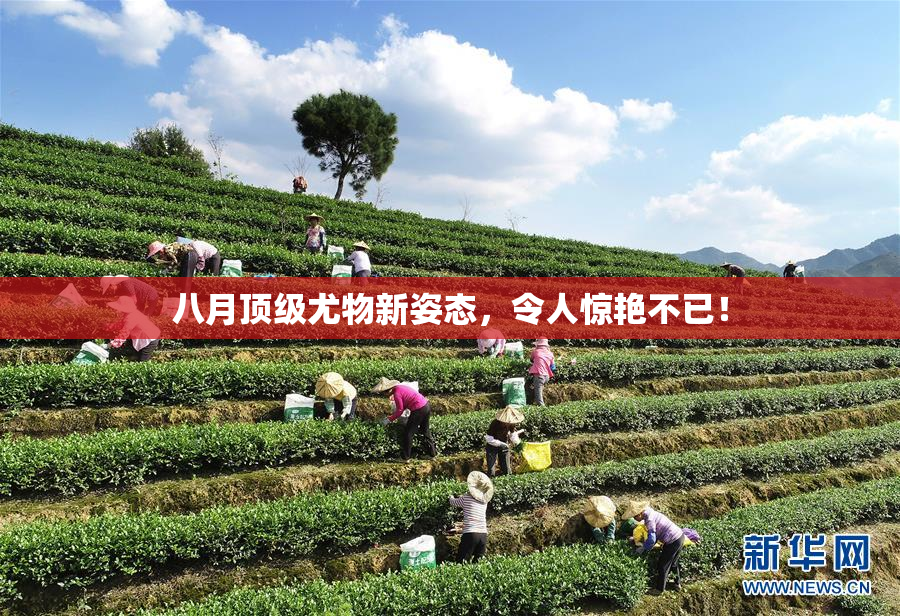 八月顶级尤物新姿态，令人惊艳不已！