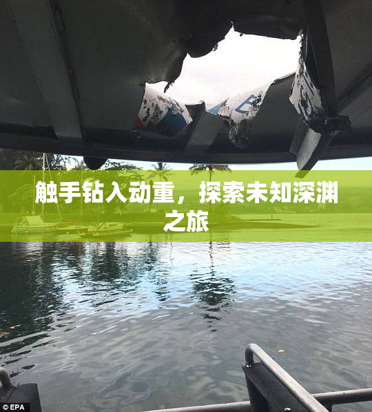 触手钻入动重，探索未知深渊之旅