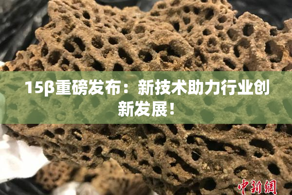 15β重磅发布：新技术助力行业创新发展！
