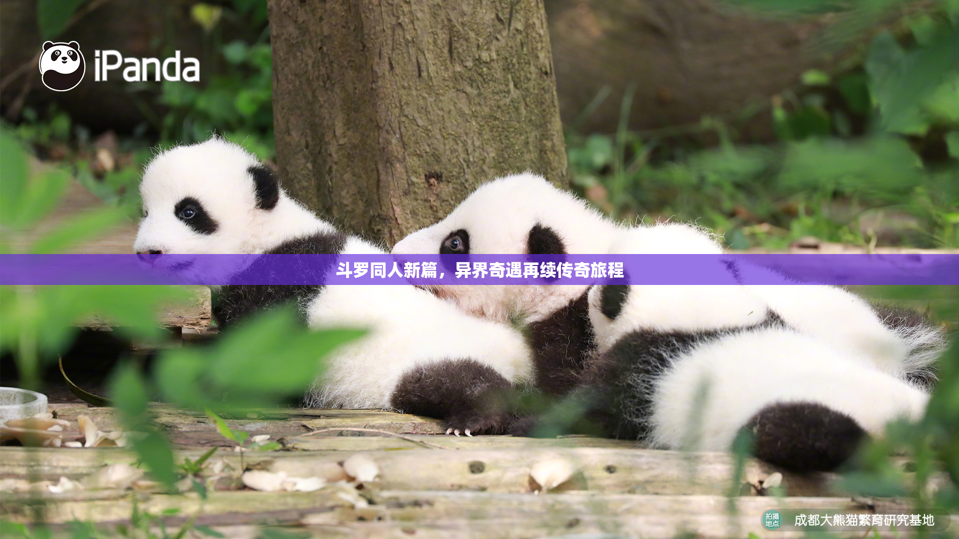 斗罗同人新篇，异界奇遇再续传奇旅程