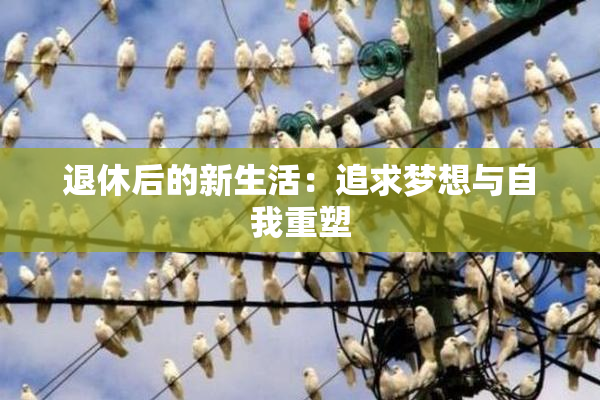 退休后的新生活：追求梦想与自我重塑