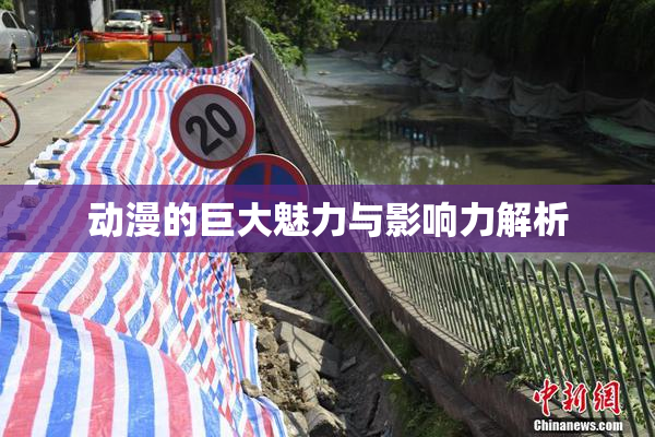 动漫的巨大魅力与影响力解析