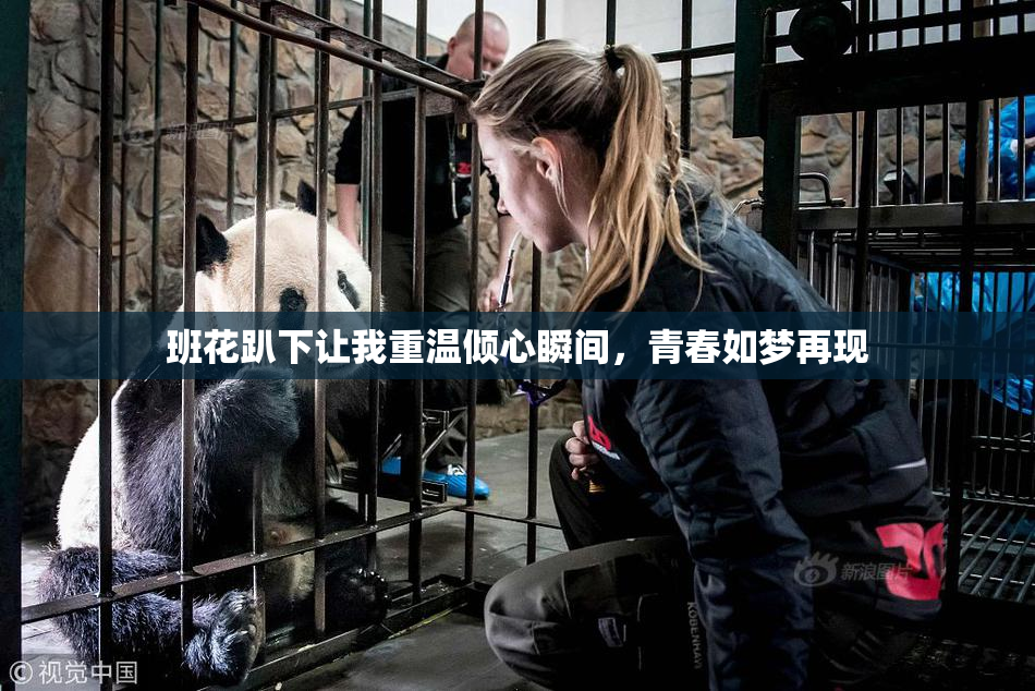 班花趴下让我重温倾心瞬间，青春如梦再现