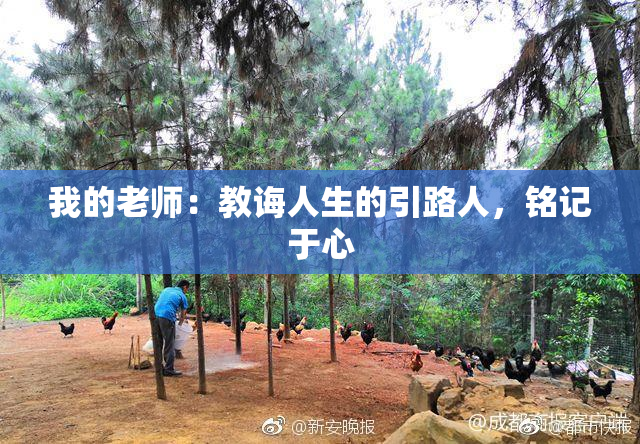 我的老师：教诲人生的引路人，铭记于心