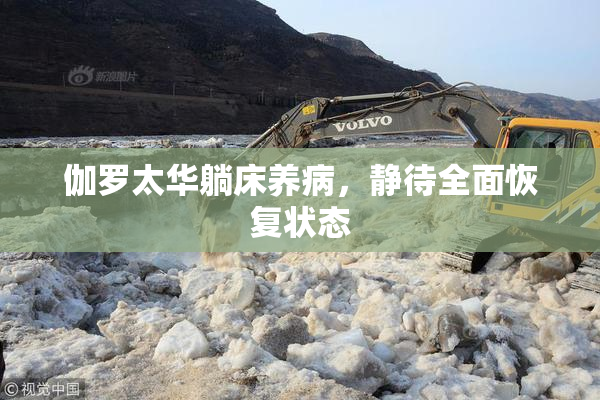 伽罗太华躺床养病，静待全面恢复状态