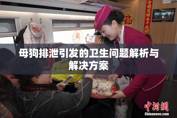 母狗排泄引发的卫生问题解析与解决方案