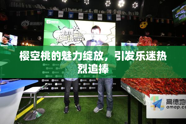 樱空桃的魅力绽放，引发乐迷热烈追捧