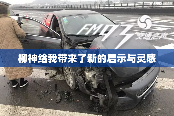 柳神给我带来了新的启示与灵感