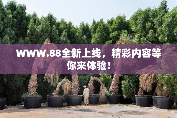 WWW.88全新上线，精彩内容等你来体验！