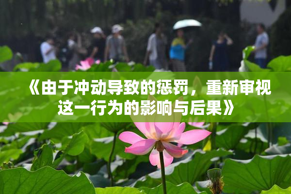 《由于冲动导致的惩罚，重新审视这一行为的影响与后果》